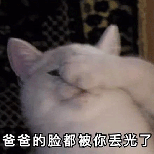  爆可爱的萌宠表情包看什么看啊,没看过别人亲热吗