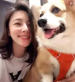  王思聪的意中人终于不是网络主播了,如此温柔甜腻,难道是真爱