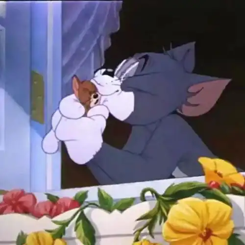  猫和老鼠感人句子和情头