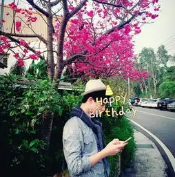 樱花树下男孩拍照头像