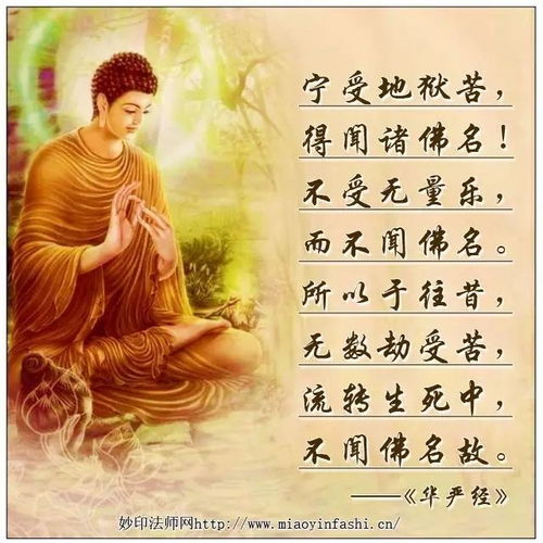  妙印法师答疑念佛时感觉整个虚空在念佛,一切明明了了,这时该怎么办