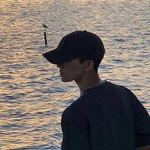  迟来的阳光救不了枯萎的向日葵