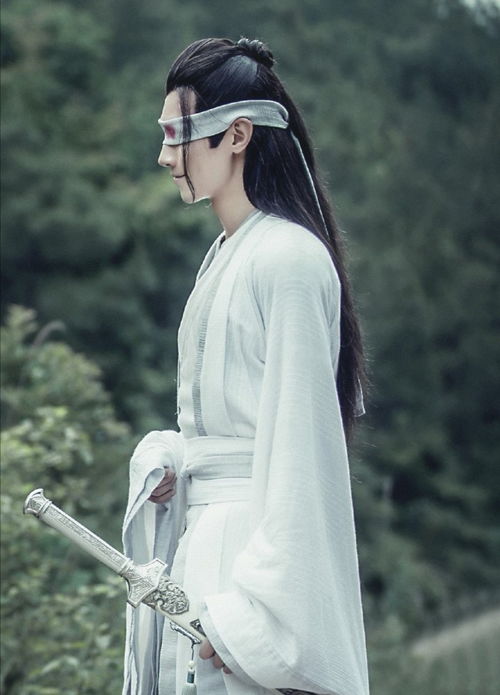  继陈情令后晓星尘再出演双男主剧,看清造型不火都难