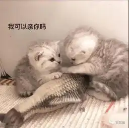  专为亚洲人设计的涑口水,从根源解决口腔问题