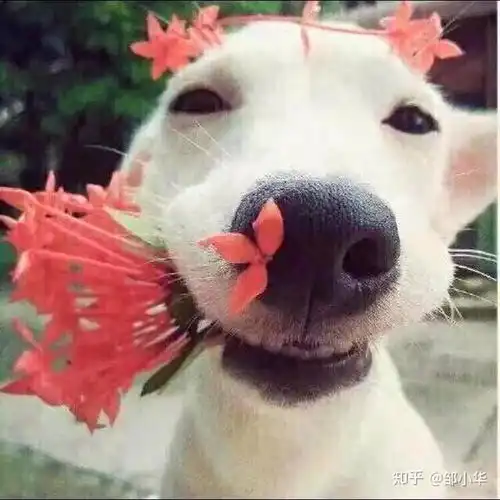  抗击疫情从我做起