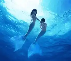  我的答复