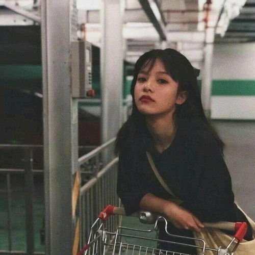  头像daily