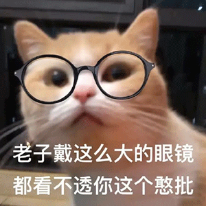  情侣头像丨沙雕表情包