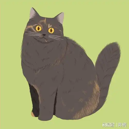  胖猫猫壁纸和头像