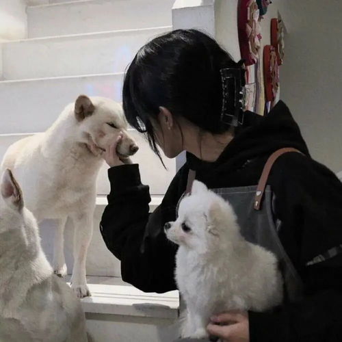  家长群的社死现场网友换我肯定退群了哈哈哈