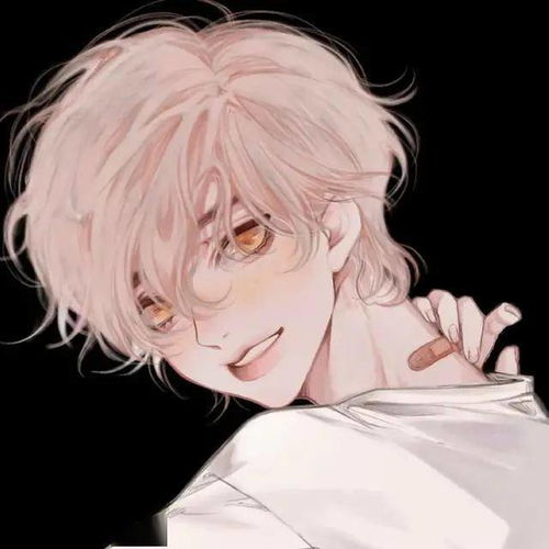  二次元动漫男头