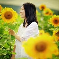  安静唯美的女孩的qq头像
