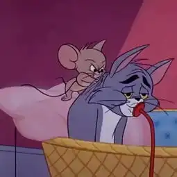 猫和老鼠的头像情侣版动