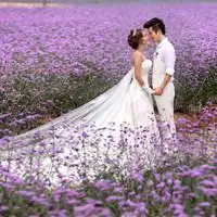  求情侣头像男穿西装女穿婚纱的多一点