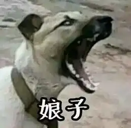  如此魔性的情侣头像,就问你敢不敢换快快趣