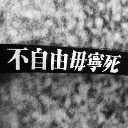  背景图我很后悔去到那个地方但是我从不后悔在那个地方认识你