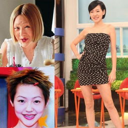  杨幂范冰冰佟丽娅赵丽颖女神竟留过这样的发型