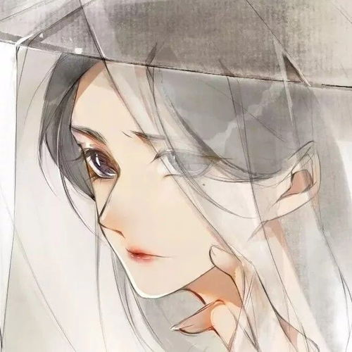  晋江文学2020排名第一并非魔道祖师,二哈和他的白猫师尊只能排第三