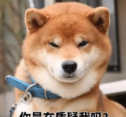  开挖机挖断一根电缆,为啥老板连夜跑路国外哈哈哈下辈子注意点