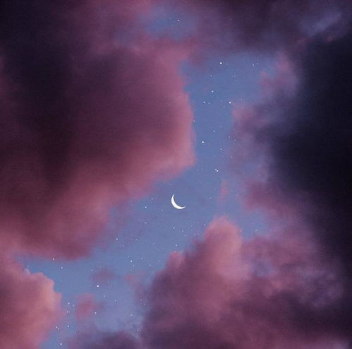  星座配对,狮子座女生与十二星座配对指南