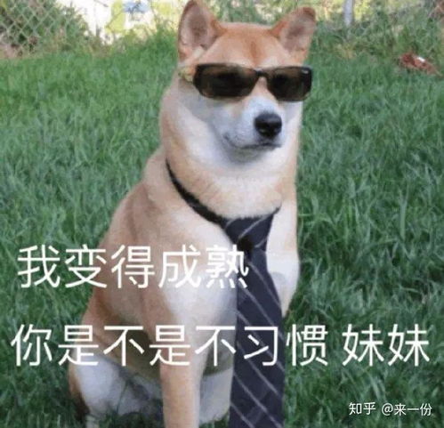 男生撩妹适合用的头像刘