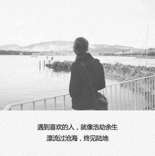  句句扎心,但是醒脑