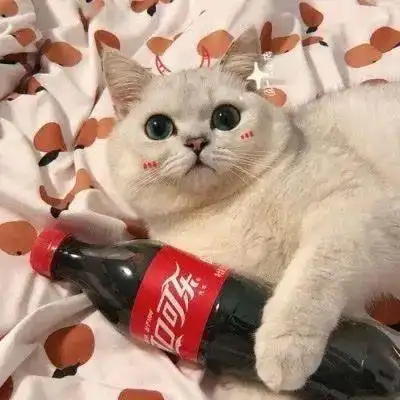 情侣头像动漫猫咪