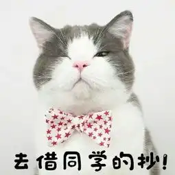  很俏皮秀逗的猫咪头像图片带字,送给还上学的你