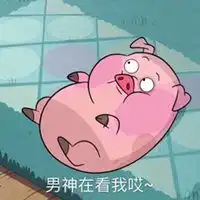  摇摇猪我们走情侣头像微信头像图片大全