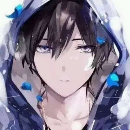  山楂树之恋北澈高音质在线试听山楂树之恋歌词歌曲下载酷狗音乐