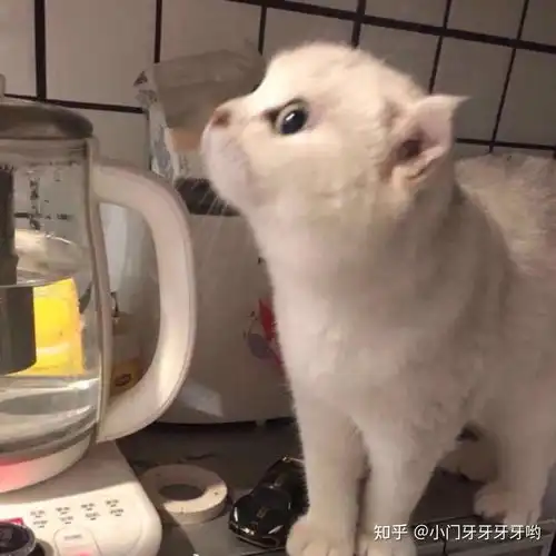  朋友网恋遇到的,请问这是网图吗能找到出处吗