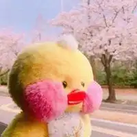  玻尿酸鸭子情侣头像