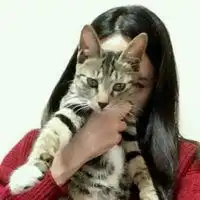 抱猫的情侣头像杨幂
