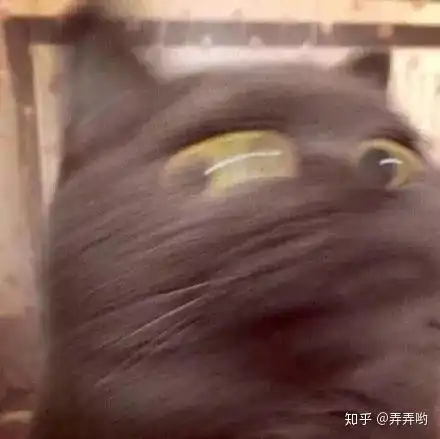  好用的手机修图app有哪些值得推荐