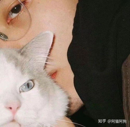头像男生动物