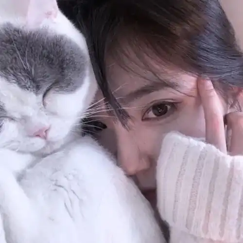 情侣猫头像超萌一对女生