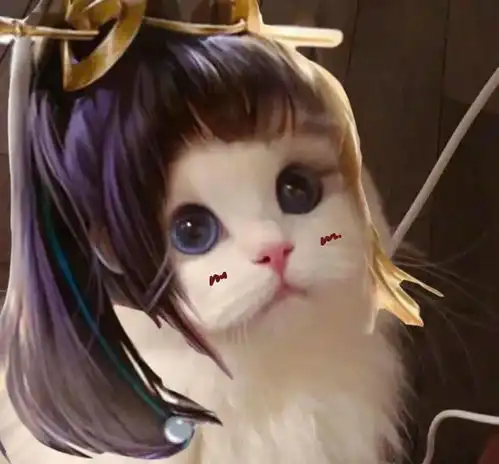 小猫情侣头像超萌头像