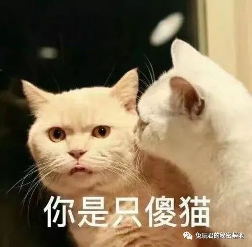  污的一批大眼睛尖下巴就是美女标配童年经典动漫角色大整容