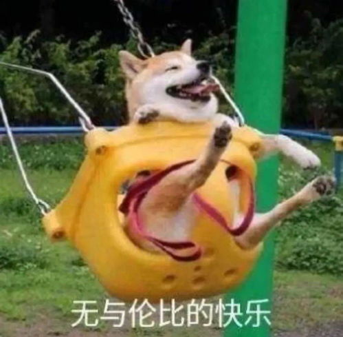 手机里有这个app的女生,真的太狠了
