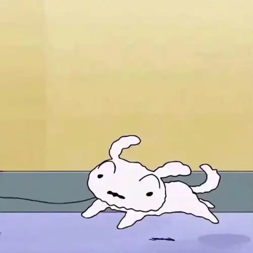  唯美情头大量浪漫情头,来看看有没有你喜欢的吧