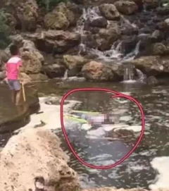  心碎因积水触电,两名女童瞬间没了,一定要告诉孩子远离这些危险