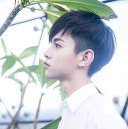  男生留这15款发型,一定很帅