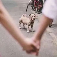 微信男生头像离婚