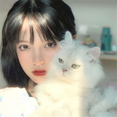  可爱女生和猫的头像,抱猫的女生送给喜欢小猫的亲
