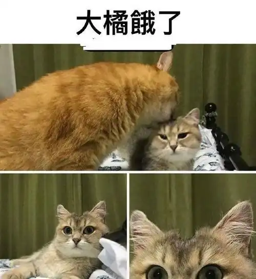  七夕节女朋友找你要礼物怎么办没事,送她三千万,哈哈