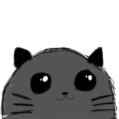 有关于猫的情侣头像qoo