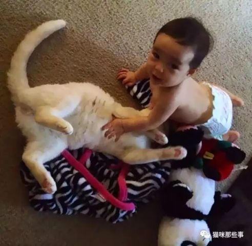  猫猫和宝宝萌萌哒日常