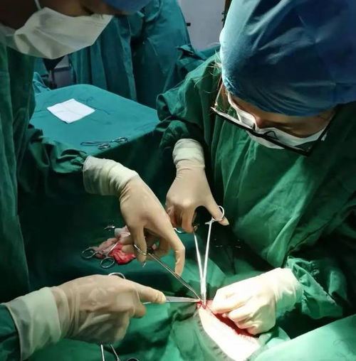  不止是学霸同济这位元气女孩满满正能量