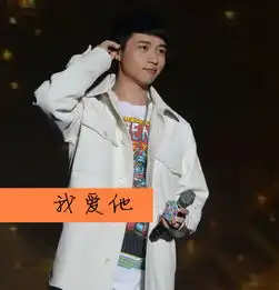 魏晨的文字头像有没有