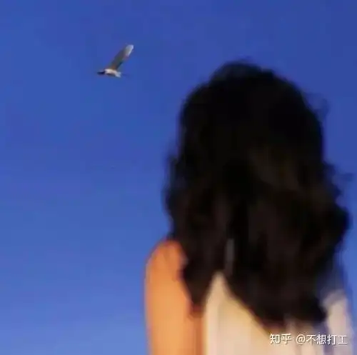  头像精选情侣头像,小众情头来啦